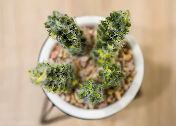 Antracytowy Zakatek Vakantiehuis *